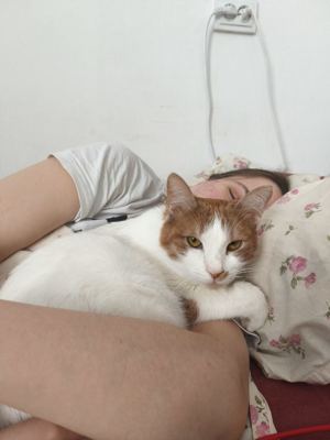Бруно